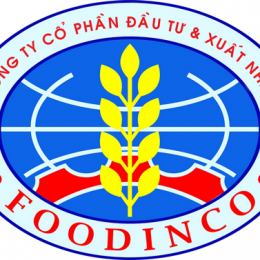 Báo cáo tài chính